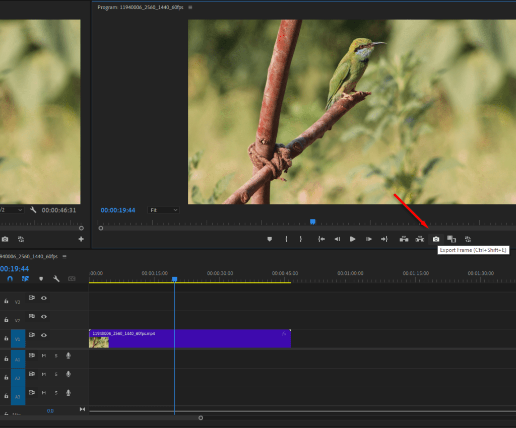 A screenshot of Premiere Pro's workspace showing the Export Frame icon inside the Program Monitor window.